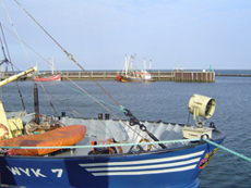 Schiff